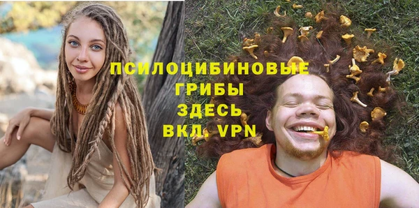шишки Михайловка