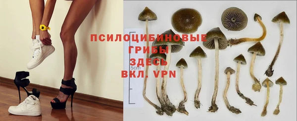 ешки Михайловск