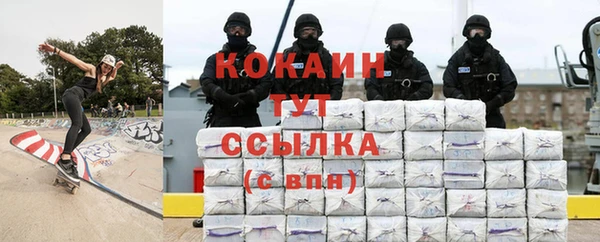 шишки Михайловка