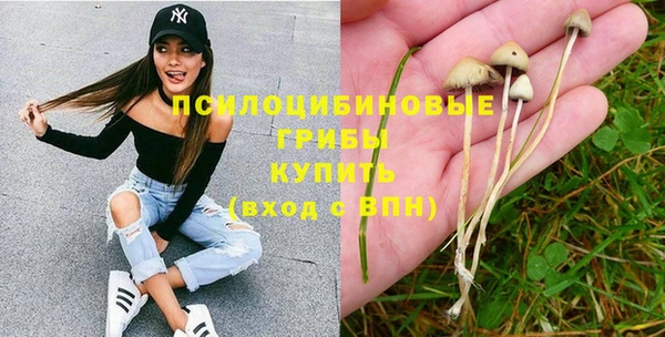 гашиш Богородицк
