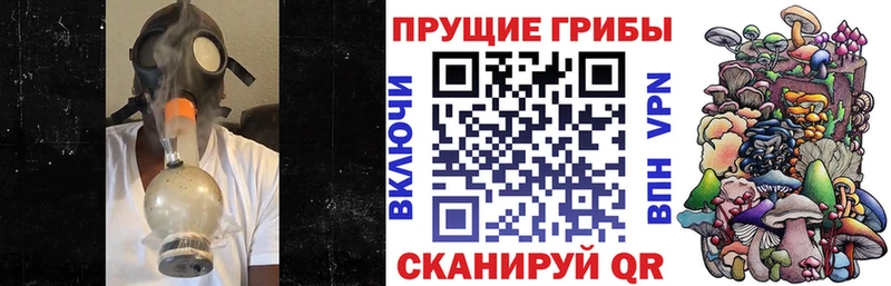 Галлюциногенные грибы прущие грибы  Сковородино 